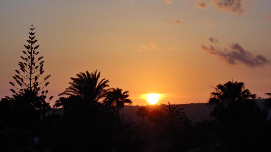 Apartamentos Aloe Playa del Inglés Exteriör bild